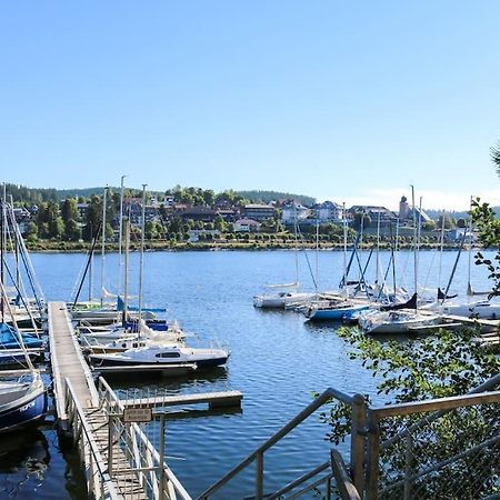 Fewo Sperlingskauz Mit Pool, Sauna & Hochschwarzwaldcard Schluchsee Eksteriør bilde