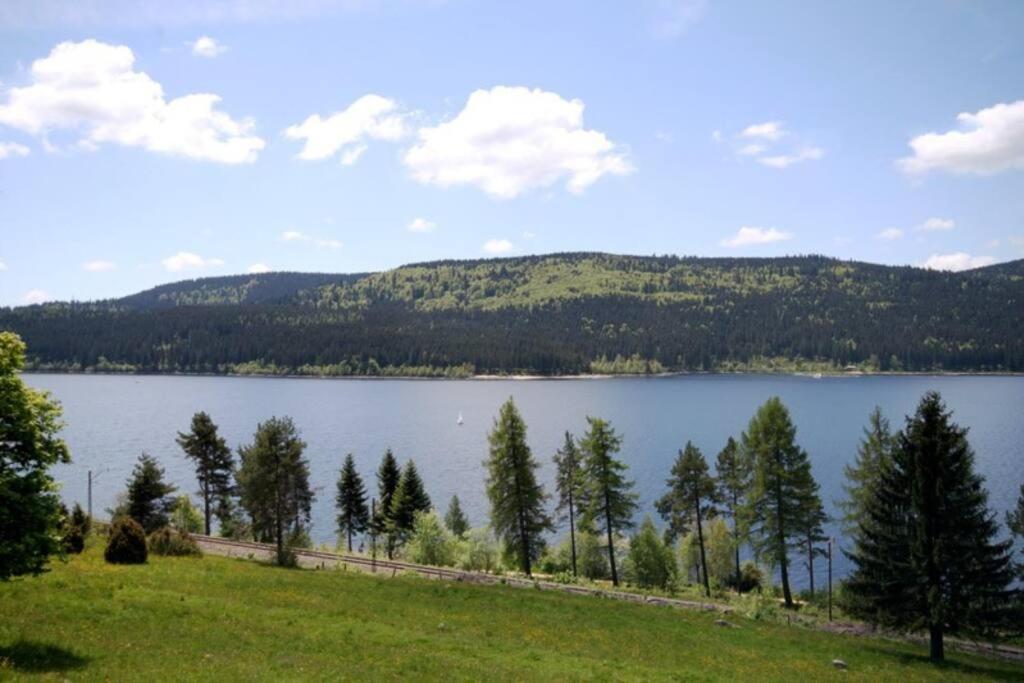 Fewo Sperlingskauz Mit Pool, Sauna & Hochschwarzwaldcard Schluchsee Eksteriør bilde