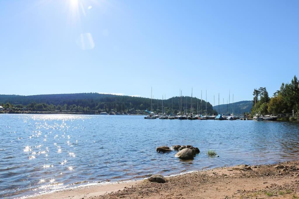 Fewo Sperlingskauz Mit Pool, Sauna & Hochschwarzwaldcard Schluchsee Eksteriør bilde