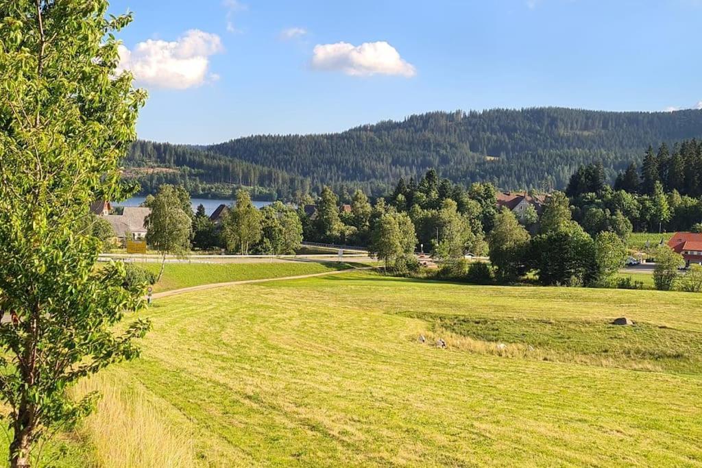 Fewo Sperlingskauz Mit Pool, Sauna & Hochschwarzwaldcard Schluchsee Eksteriør bilde