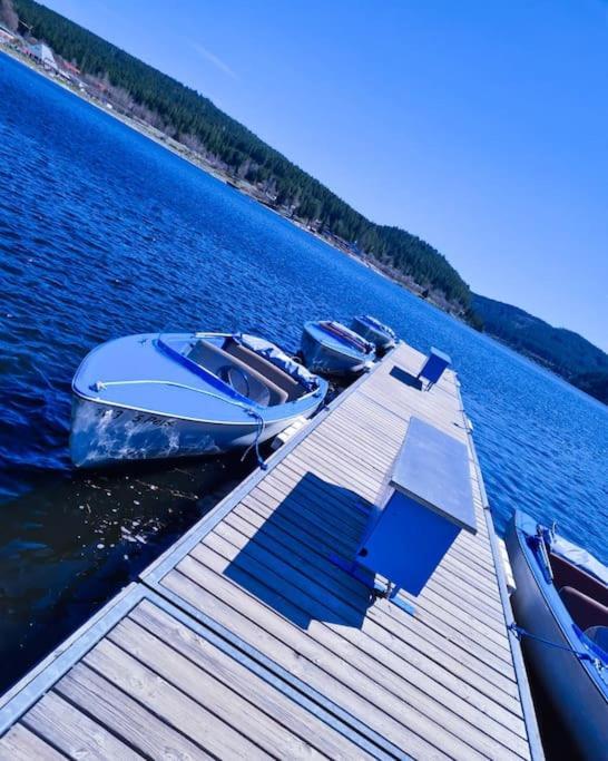Fewo Sperlingskauz Mit Pool, Sauna & Hochschwarzwaldcard Schluchsee Eksteriør bilde