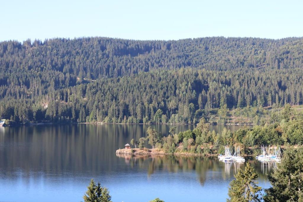 Fewo Sperlingskauz Mit Pool, Sauna & Hochschwarzwaldcard Schluchsee Eksteriør bilde