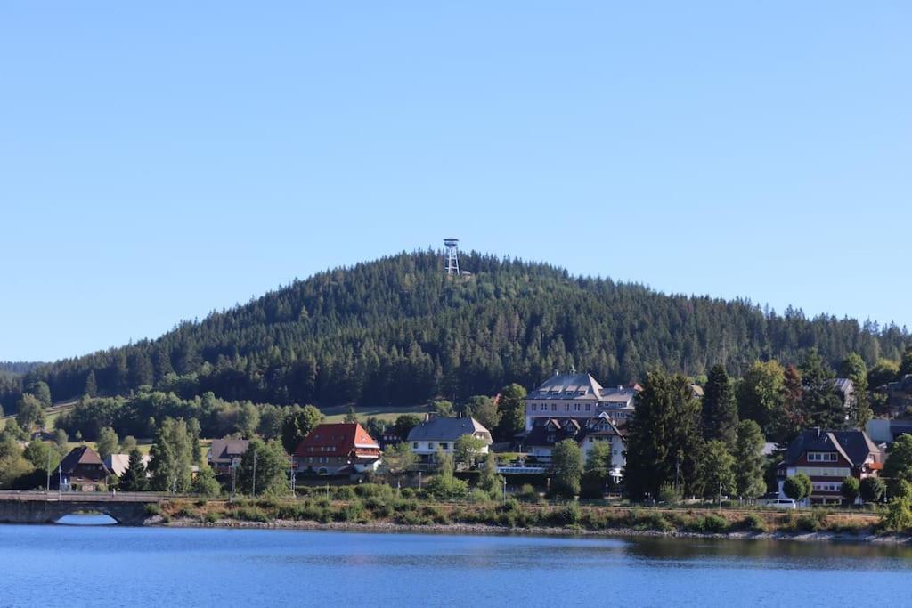 Fewo Sperlingskauz Mit Pool, Sauna & Hochschwarzwaldcard Schluchsee Eksteriør bilde