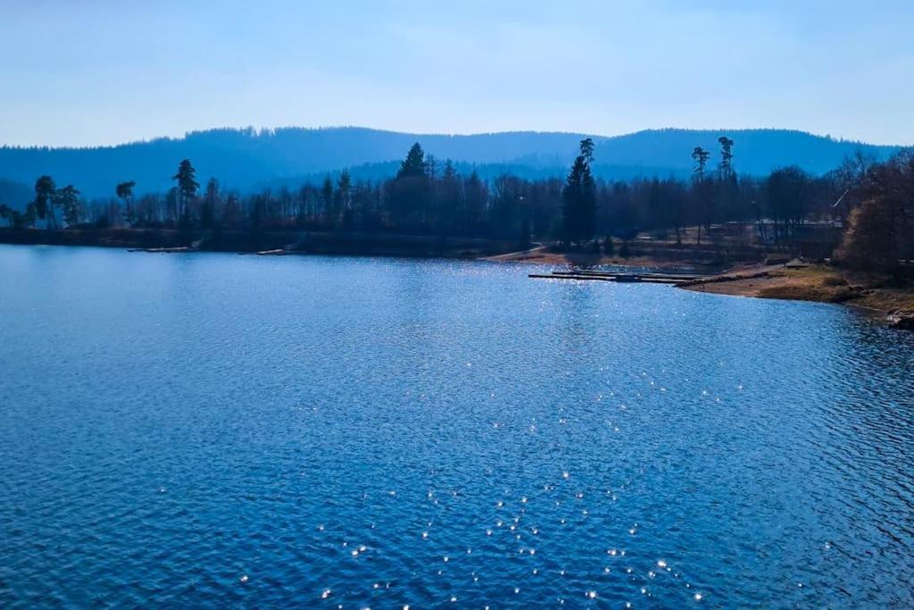 Fewo Sperlingskauz Mit Pool, Sauna & Hochschwarzwaldcard Schluchsee Eksteriør bilde